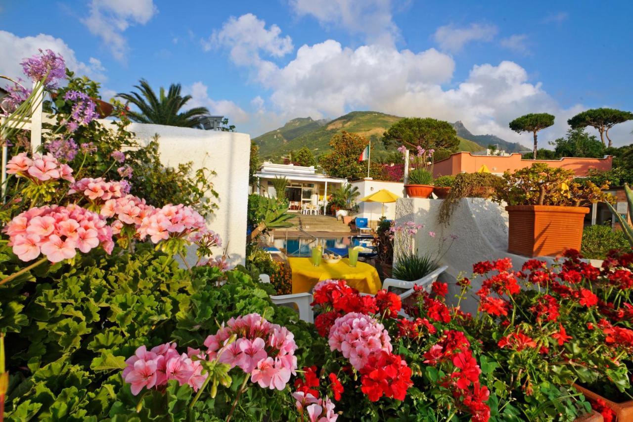 Hotel Villa Mena Forio di Ischia Εξωτερικό φωτογραφία